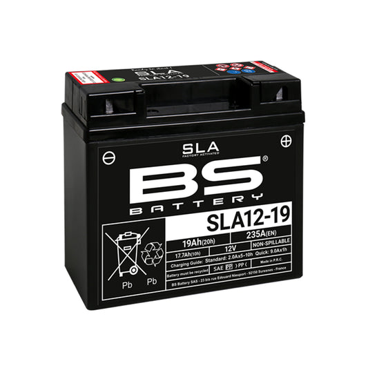 BABSLA1219 - 1