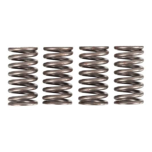 Premier Clutch Springs - Heavy Duty