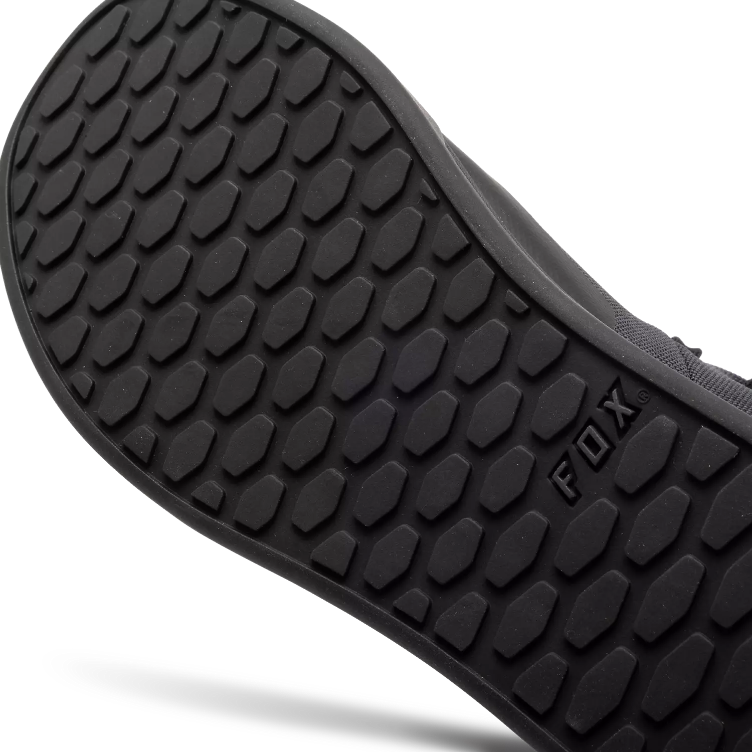 Fox Fox Union Canvas Shoes