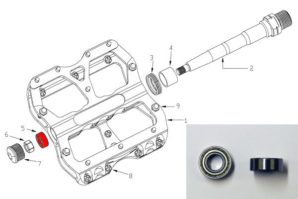 Bearing for Escape Pedal Bike Reverse