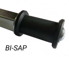 bi-sap
