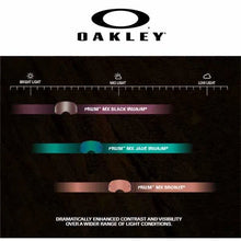 Oakley Airbrake Parts