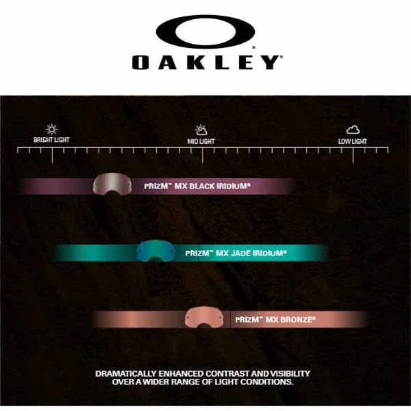 Oakley Airbrake Parts