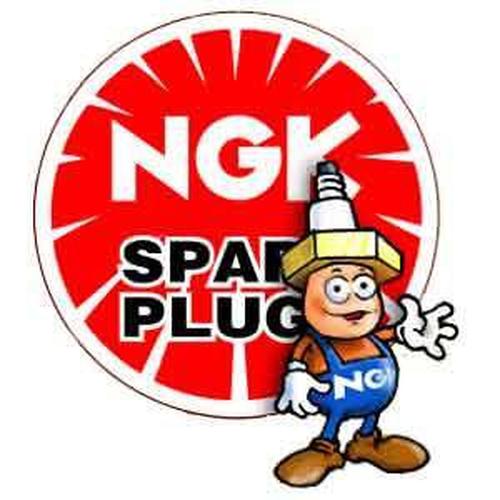 B8EGV NGK SPARK PLUG