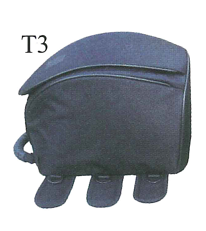 t3