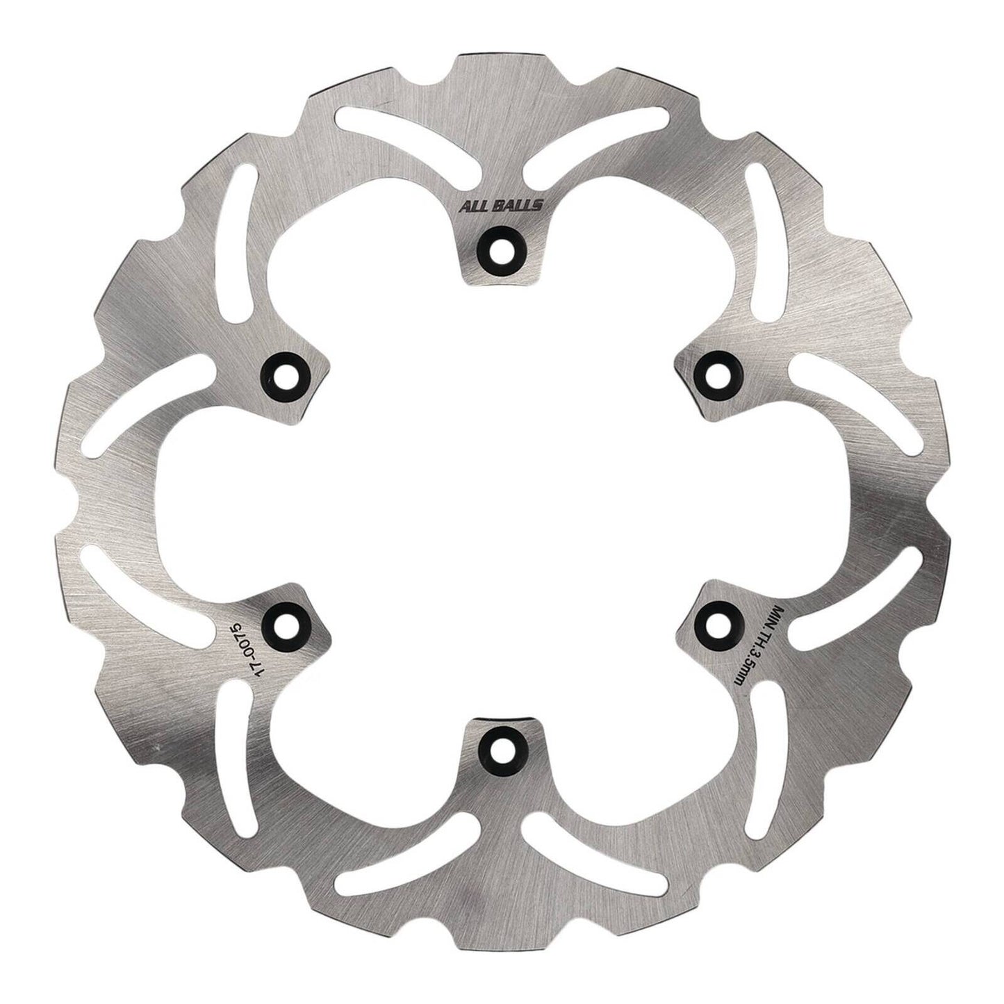 Brake Disc Rear 18-0075