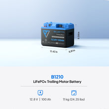Bluetti 12 V 320 A Lithium Battery