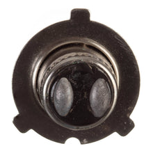 Whites Bulbs 12V 35/35W H/L Three Pin Halogen (ea)