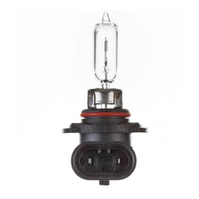 Whites Bulbs 12V 60W H/L HB3 Plastic Base Halogen (ea)