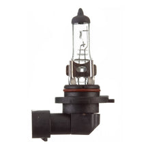 Whites Bulbs 12V 45w H/L H10 Halogen (ea)