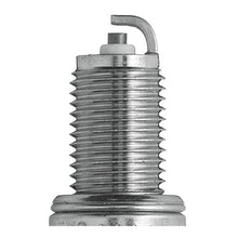 NGK Spark Plug - DCPR8E (4339)