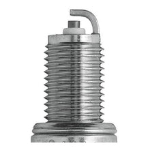 NGK Spark Plug - DCPR8E (4339)