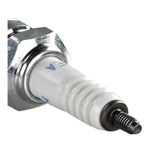 NGK Spark Plug DR8EA (7162) Single