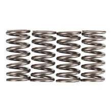 Premier Clutch Springs - Heavy Duty