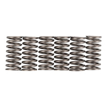 Premier Clutch Springs - Heavy Duty