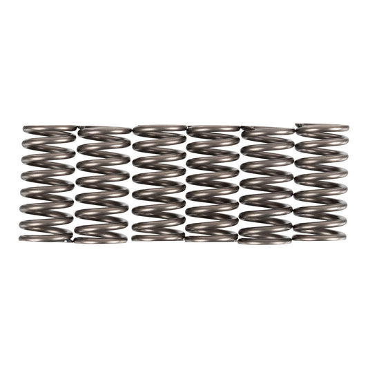 Premier Clutch Springs - Heavy Duty