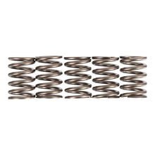 Premier Clutch Springs - Heavy Duty