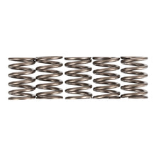 Premier Clutch Springs - Heavy Duty