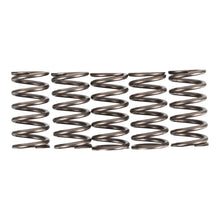 Premier Clutch Springs - Heavy Duty