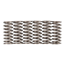 Premier Clutch Springs - Heavy Duty