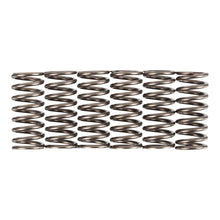 Premier Clutch Springs - Heavy Duty