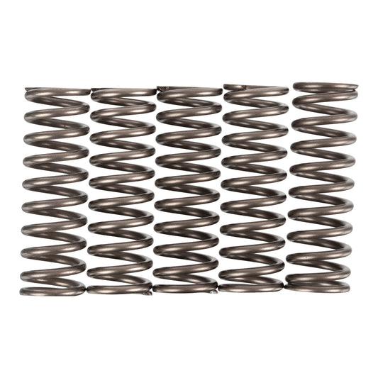 Premier Clutch Springs - Heavy Duty