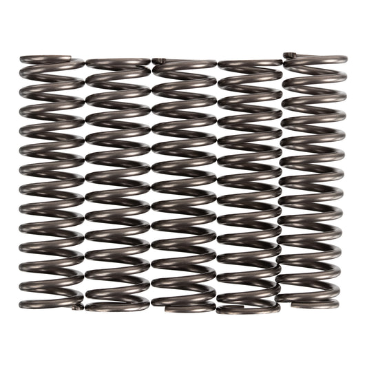 Premier Clutch Springs - Heavy Duty