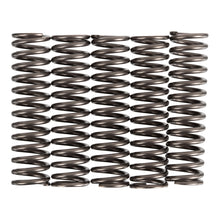 Premier Clutch Springs - Heavy Duty