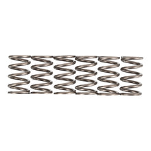 Premier Clutch Springs - Heavy Duty