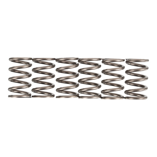 Premier Clutch Springs - Heavy Duty