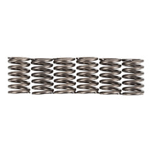 PREMIER CLUTCH SPRINGS - HEAVY DUTY