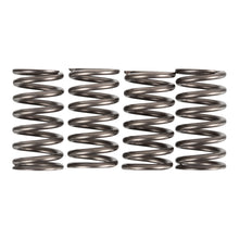 Premier Clutch Springs - Heavy Duty