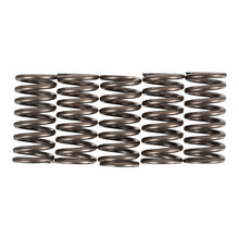 Premier Clutch Springs - Heavy Duty