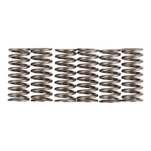 Premier Clutch Springs - Heavy Duty