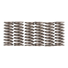 Premier Clutch Springs - Heavy Duty