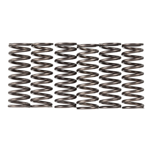 Premier Clutch Springs - Heavy Duty