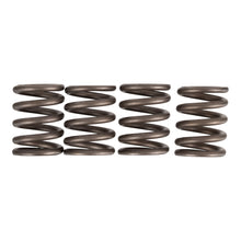 Premier Clutch Springs - Heavy Duty