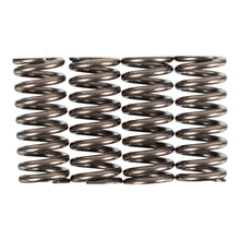 Premier Clutch Springs - Heavy Duty