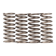 Premier Clutch Springs - Heavy Duty