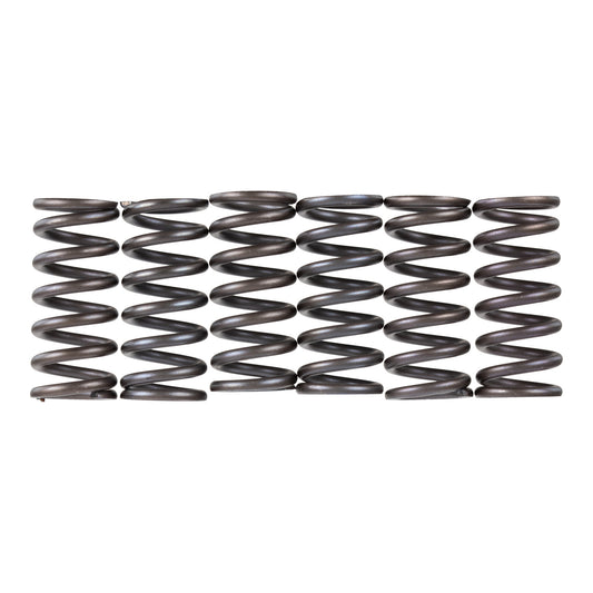 Premier Clutch Springs - Heavy Duty