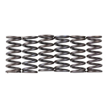 Premier Clutch Springs - Heavy Duty