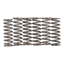 Premier Clutch Springs - Heavy Duty