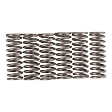 Premier Clutch Springs - Heavy Duty