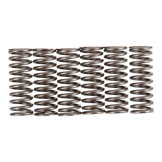 Premier Clutch Springs - Heavy Duty
