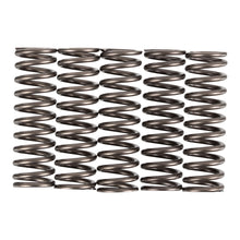 Premier Clutch Springs - Heavy Duty