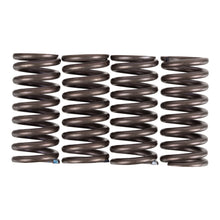 Premier Clutch Springs - Heavy Duty