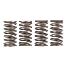 Premier Clutch Springs - Heavy Duty