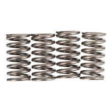 Premier Clutch Springs - Heavy Duty