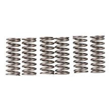 Premier Clutch Springs - Heavy Duty