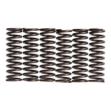 Premier Clutch Springs - Heavy Duty